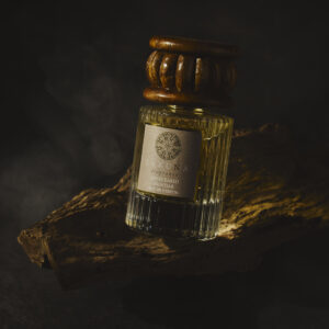 Great-eared Nightjar